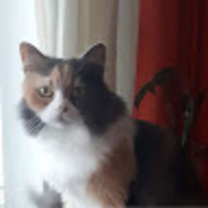 Meet your Posher, Sylvie